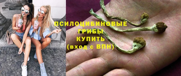 дживик Алексин